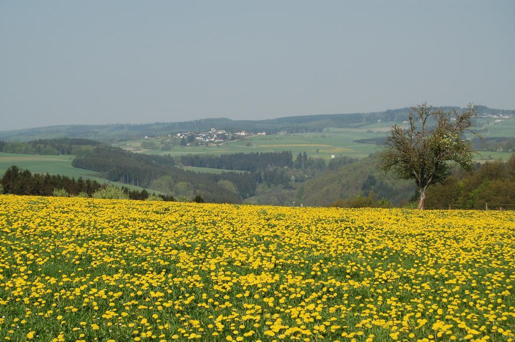 Landgasthaus Pfahl Wershofen Extérieur photo